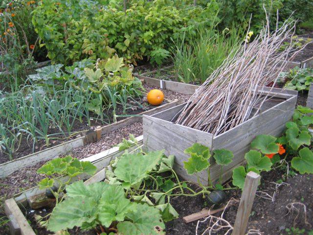 Picture from allotment library