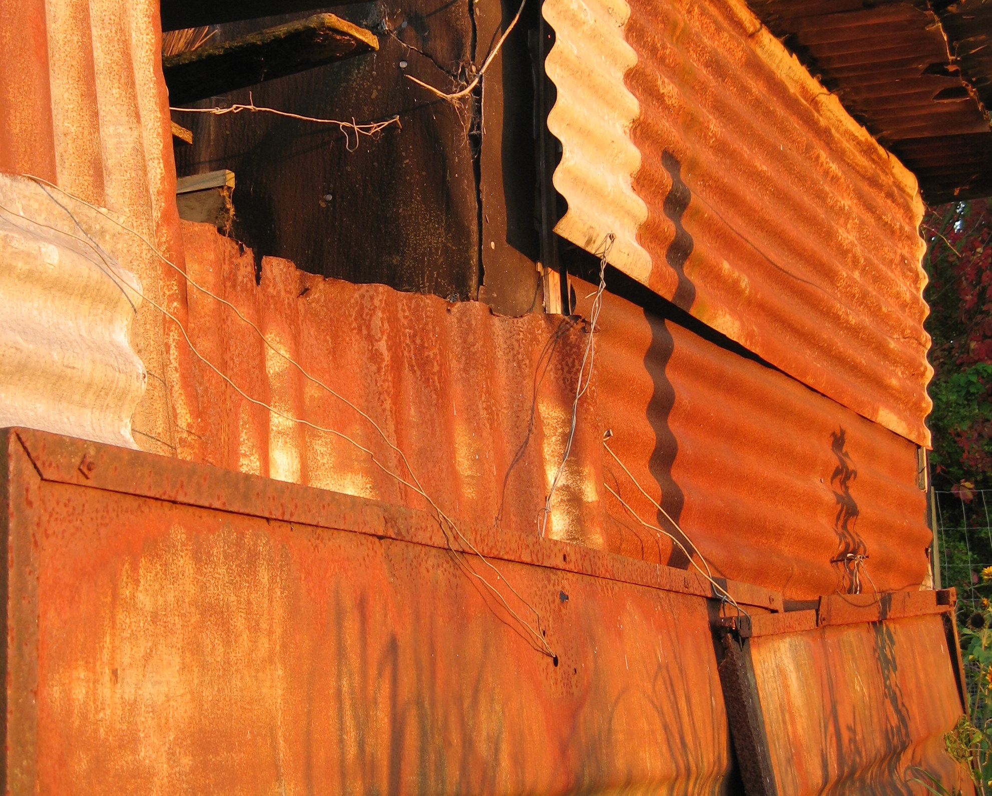 Picture from allotment library