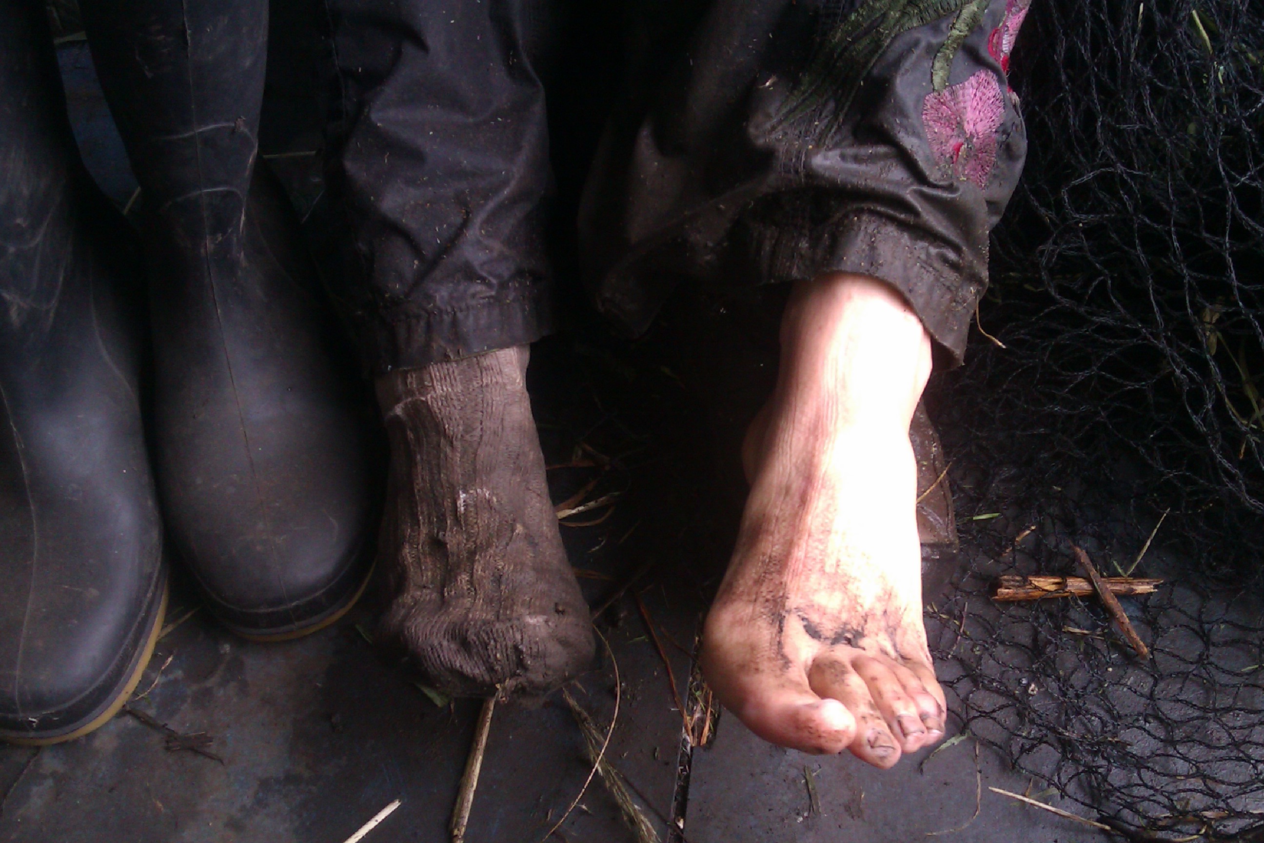 Picture from allotment library