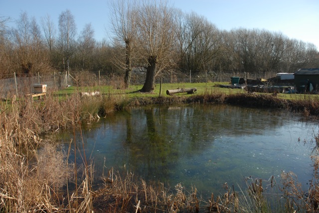 Picture from allotment library