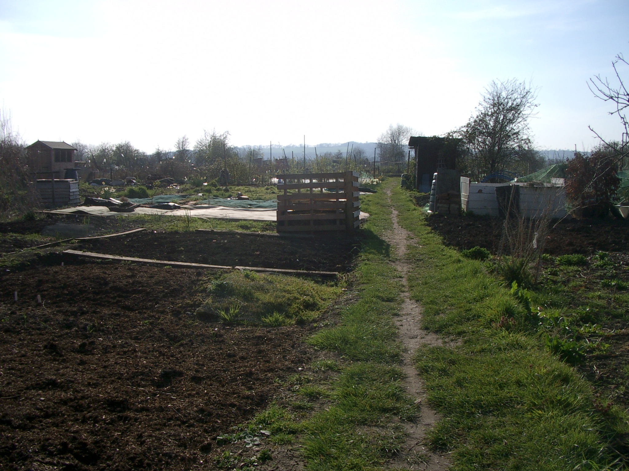 Picture from allotment library