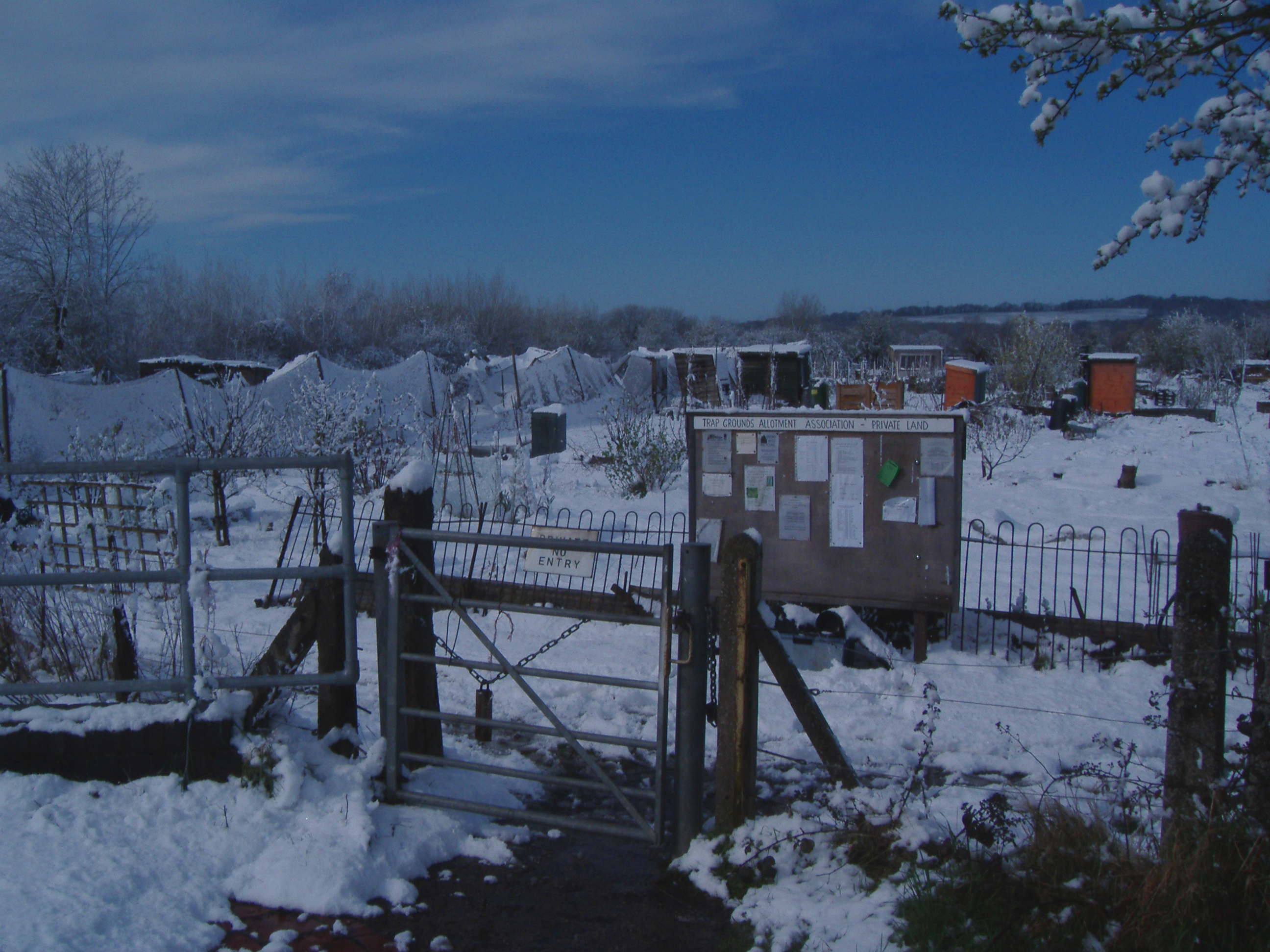 Picture from allotment library