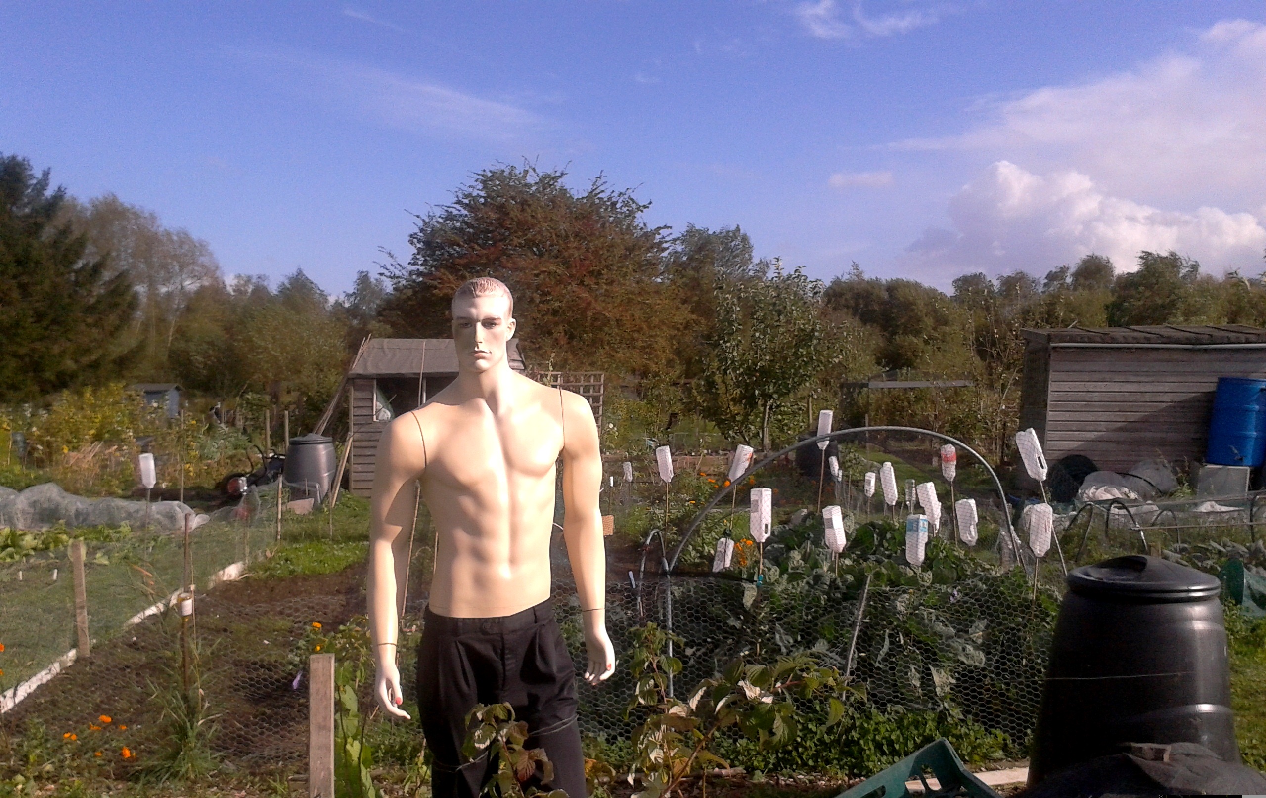 Picture from allotment library