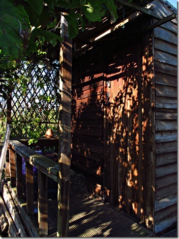 Picture from allotment library