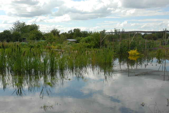 Picture from allotment library