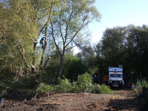 Picture from allotment library