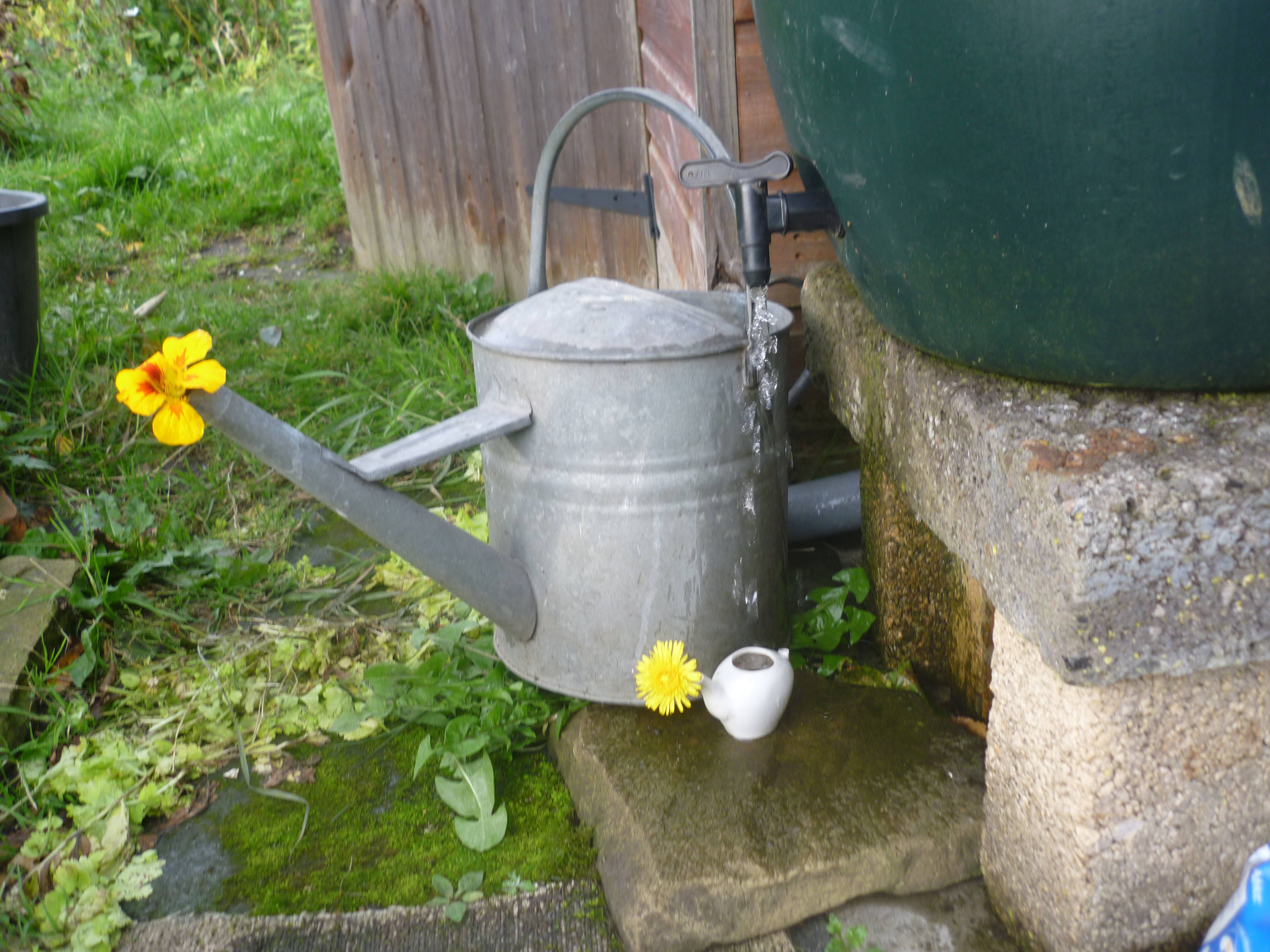 Picture from allotment library