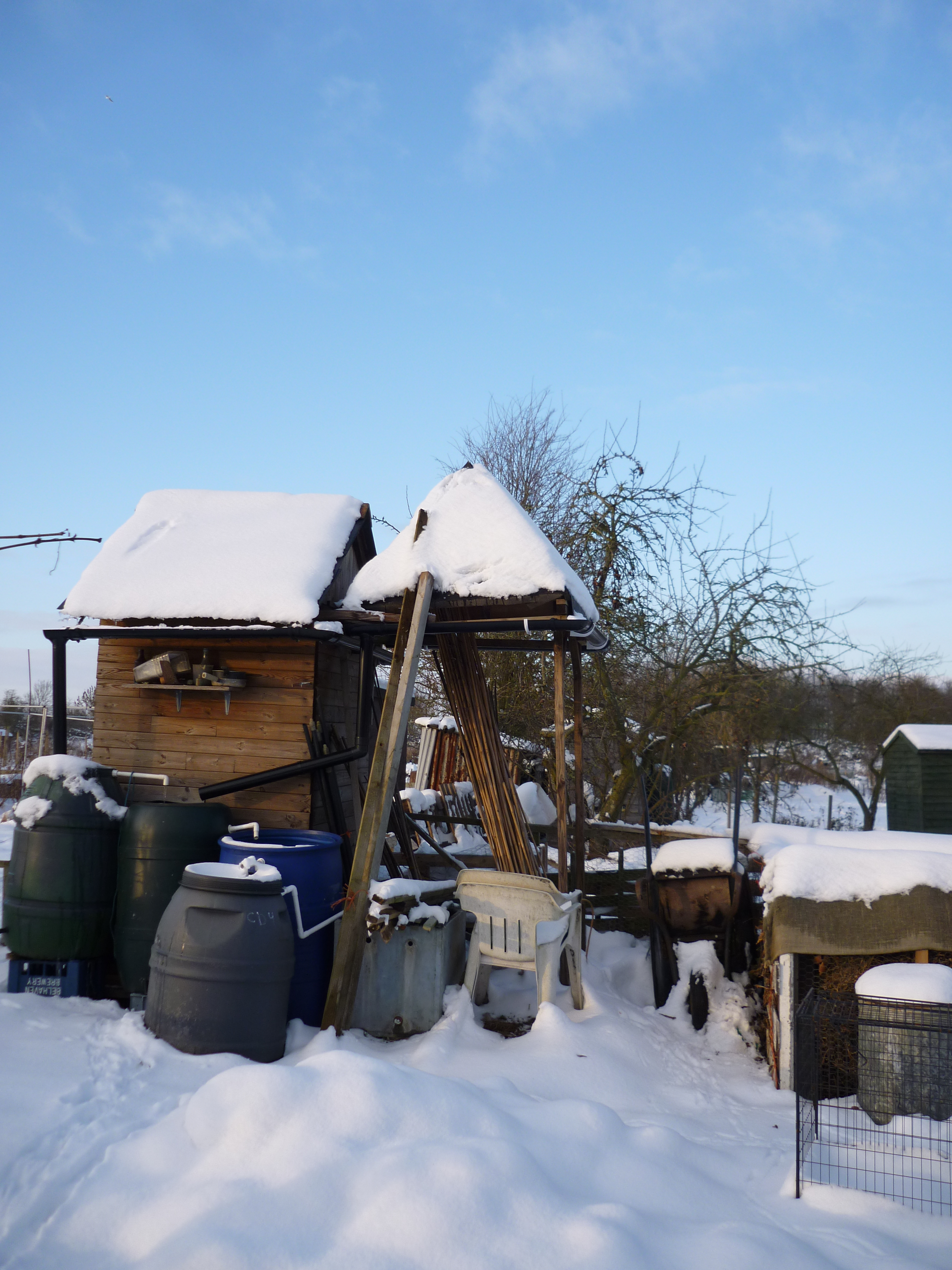 Picture from allotment library