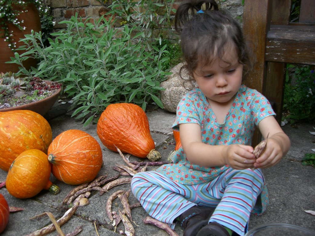 Picture from allotment library