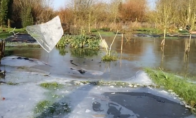 Picture from allotment library