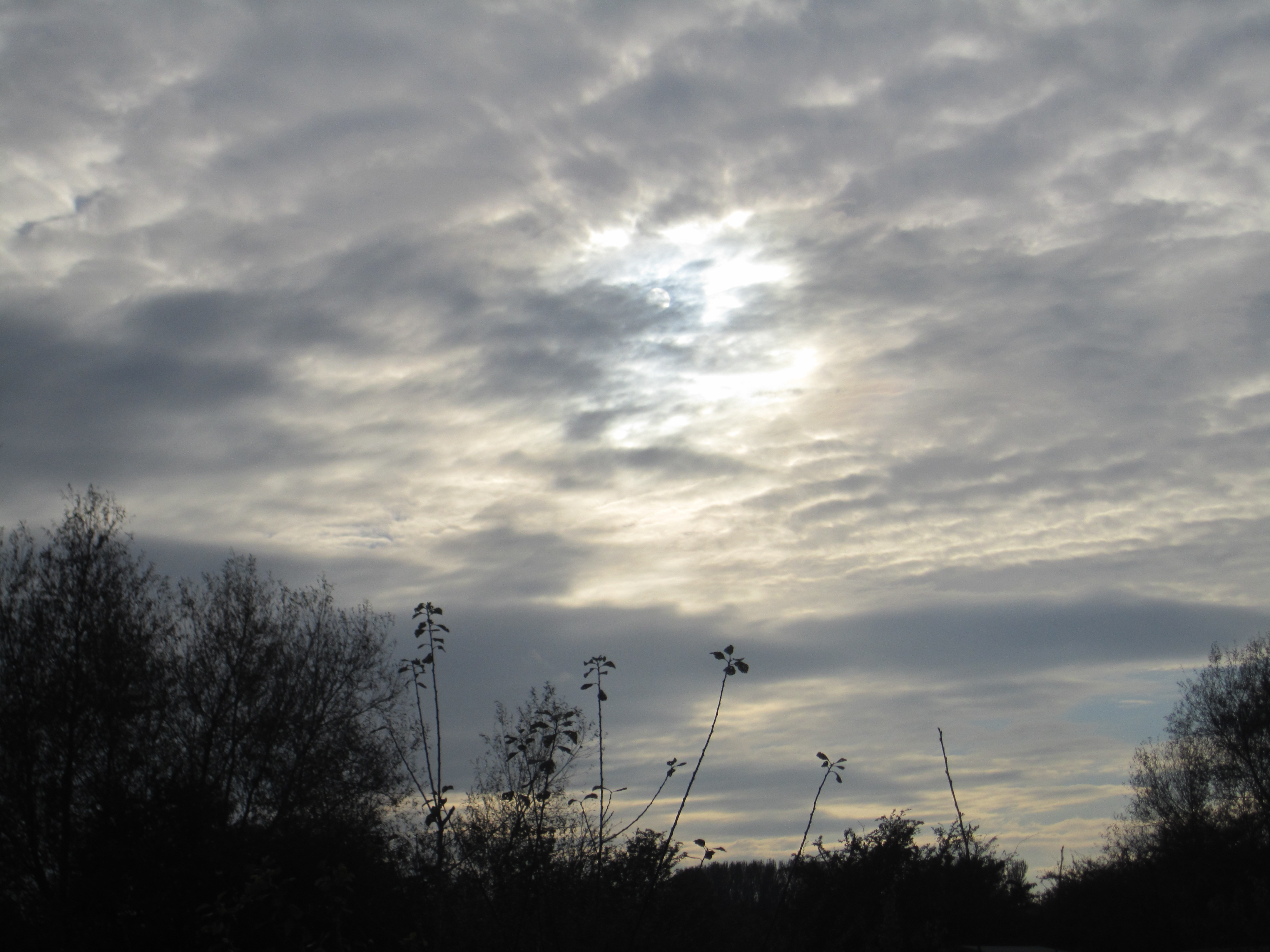 Picture from allotment library