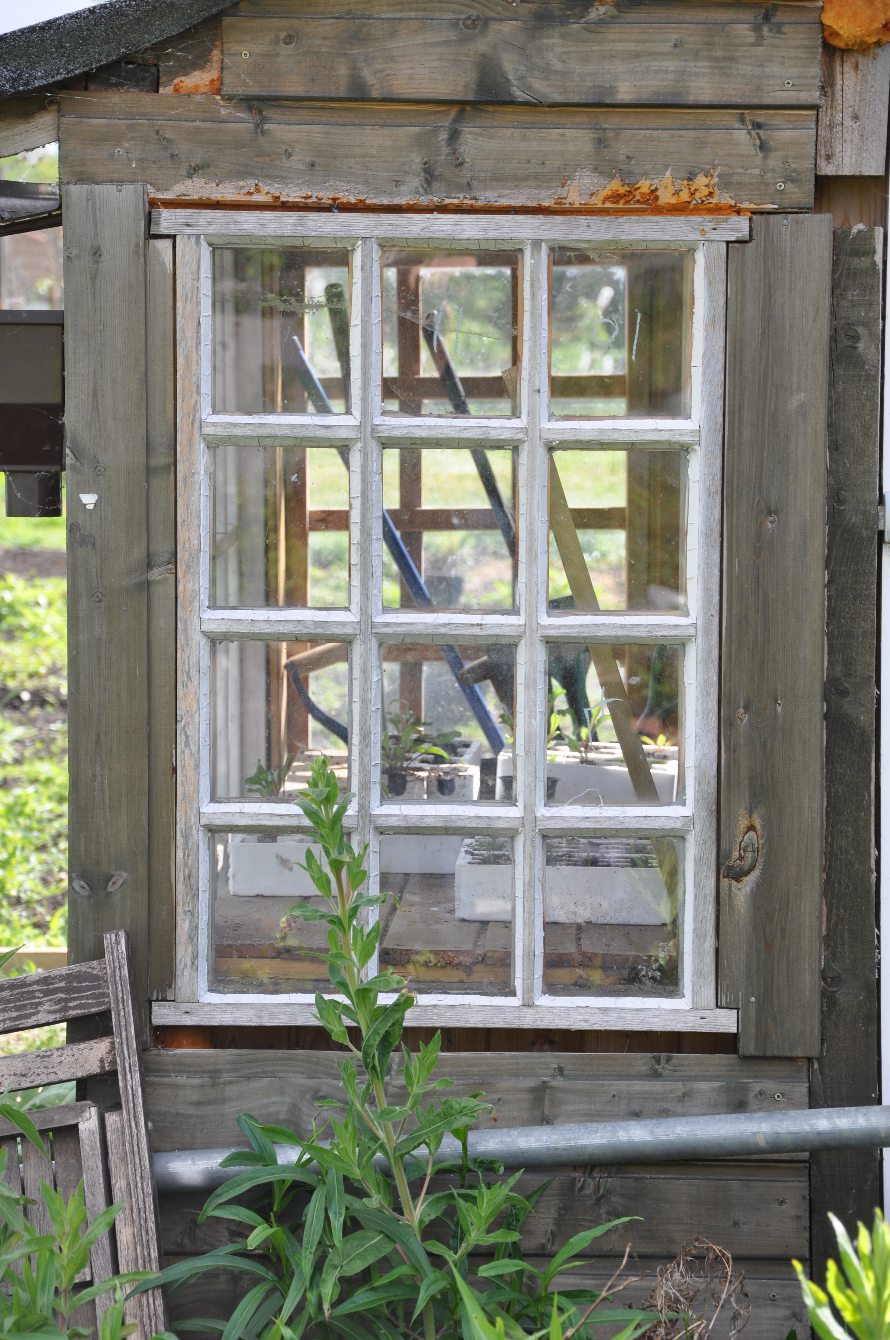 Picture from allotment library