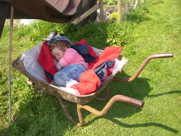 Picture from allotment library