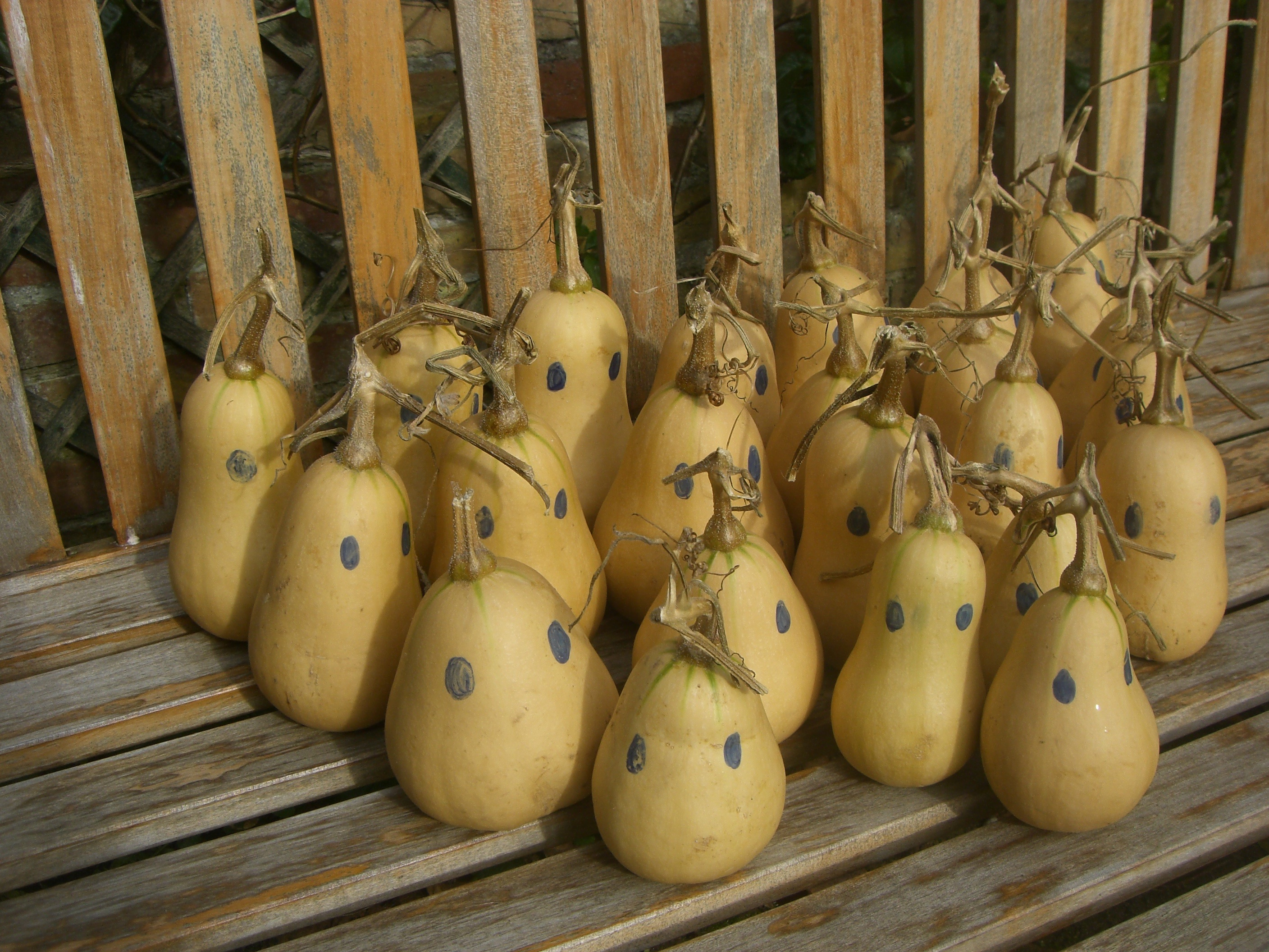 Picture from allotment library