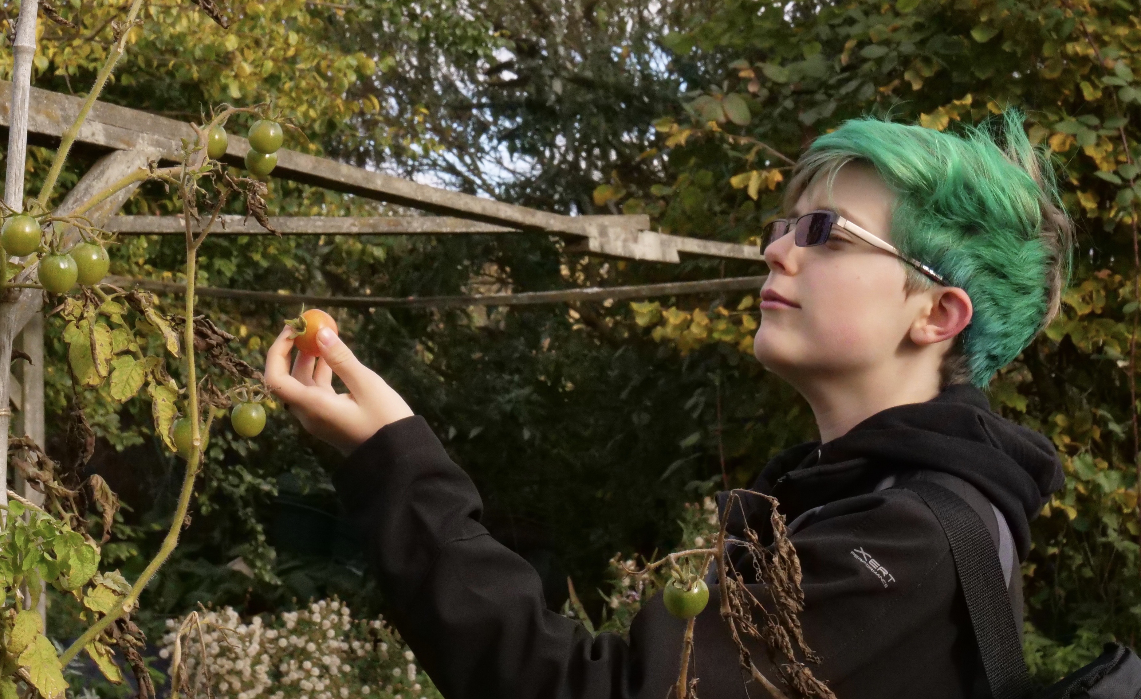 Picture from allotment library