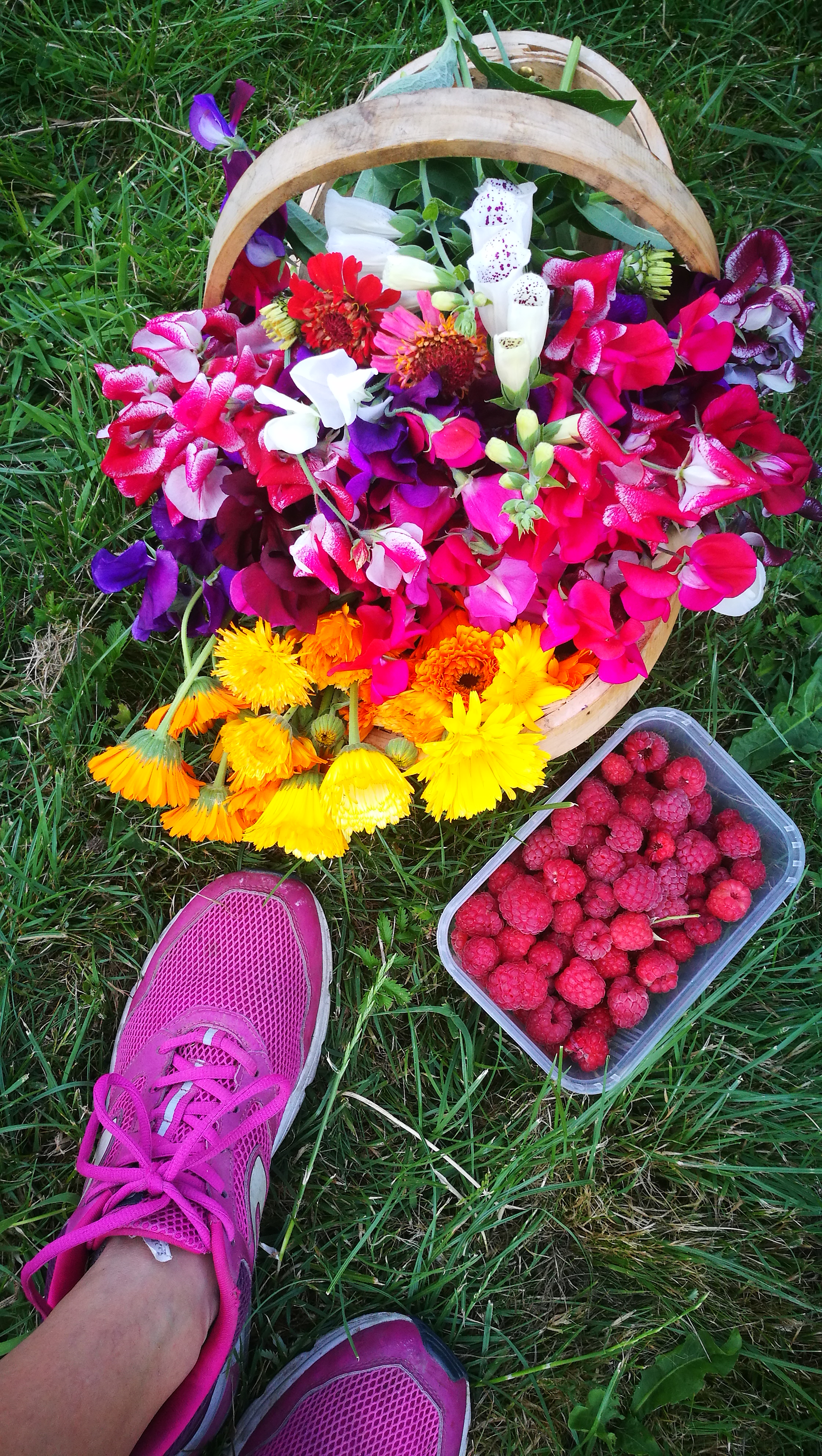 Picture from allotment library