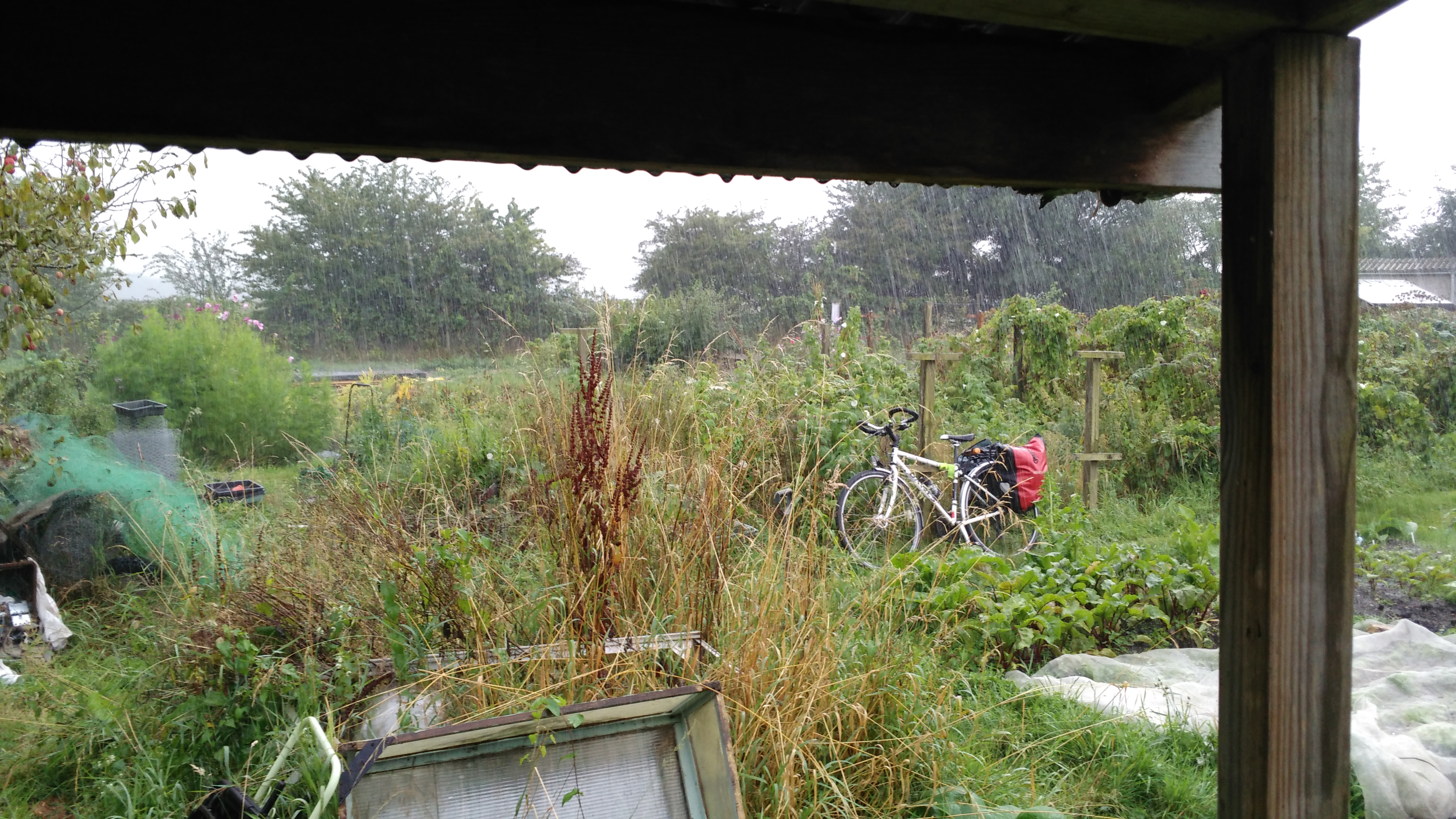 Picture from allotment library