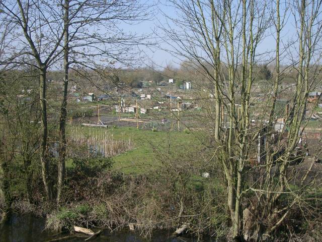 Picture from allotment library