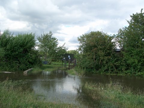 Picture from allotment library