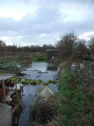 Picture from allotment library