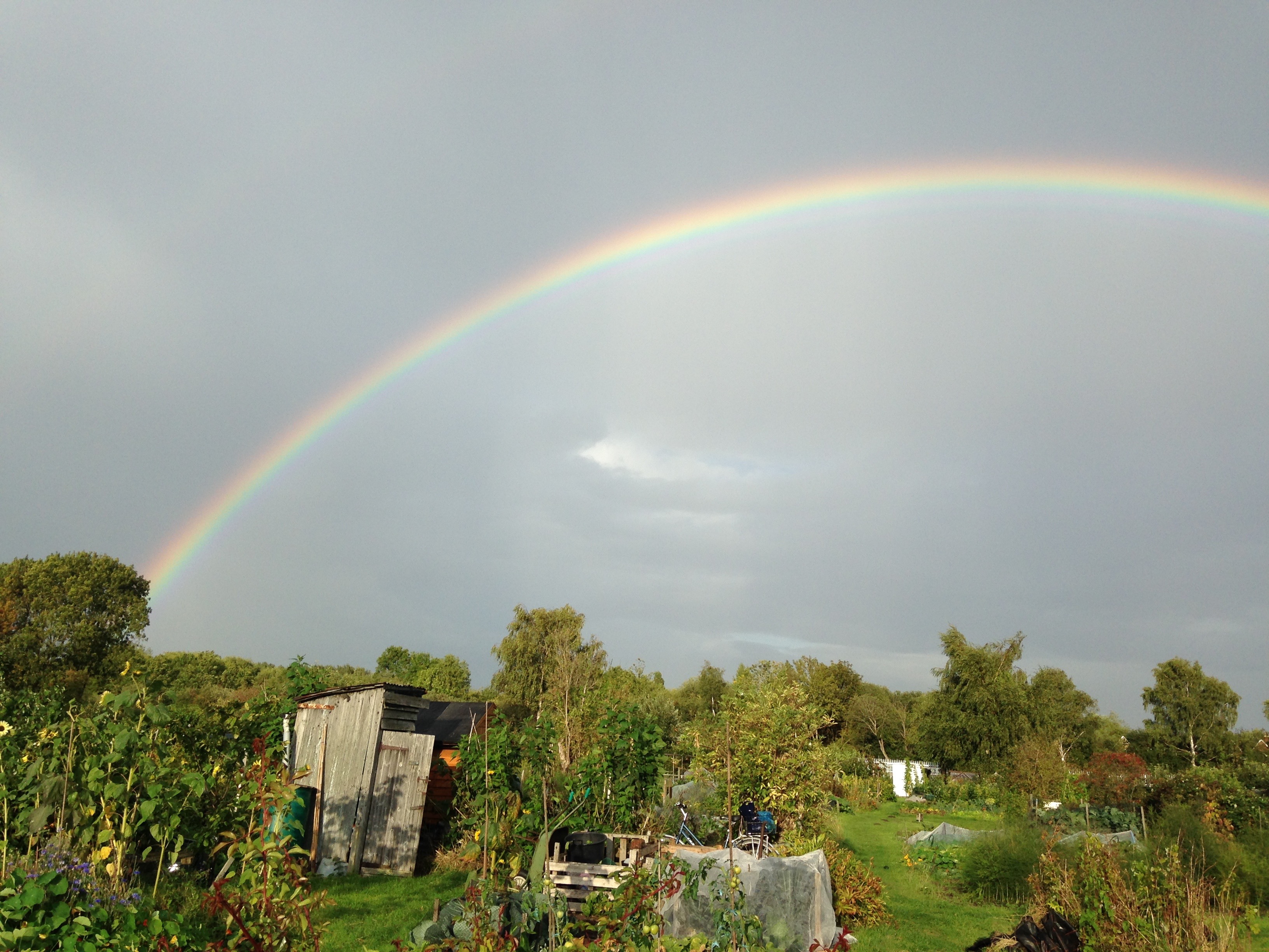 Picture from allotment library