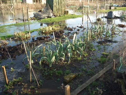 Picture from allotment library