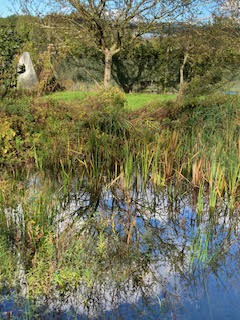 Picture from allotment library