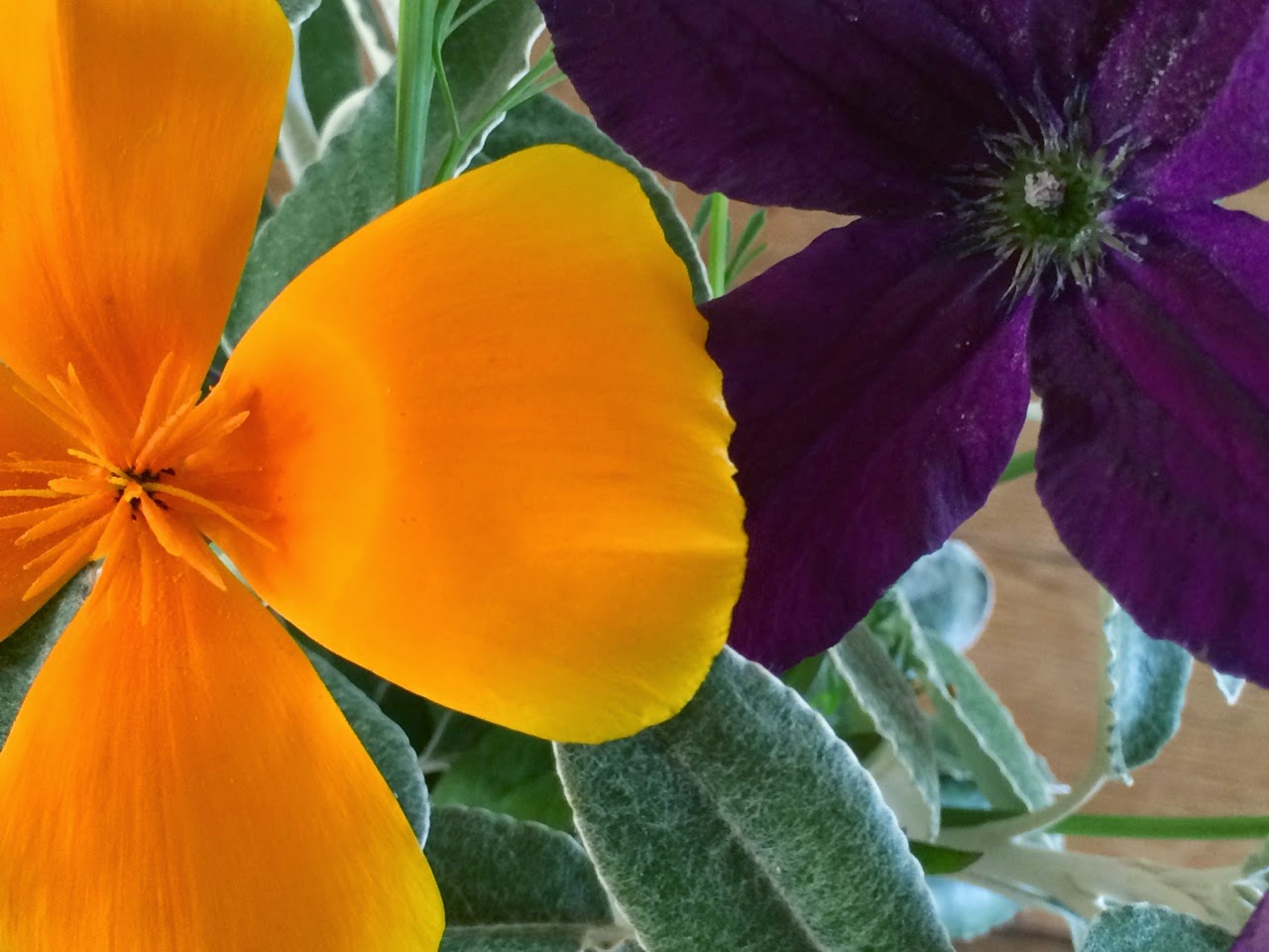 Picture from allotment library