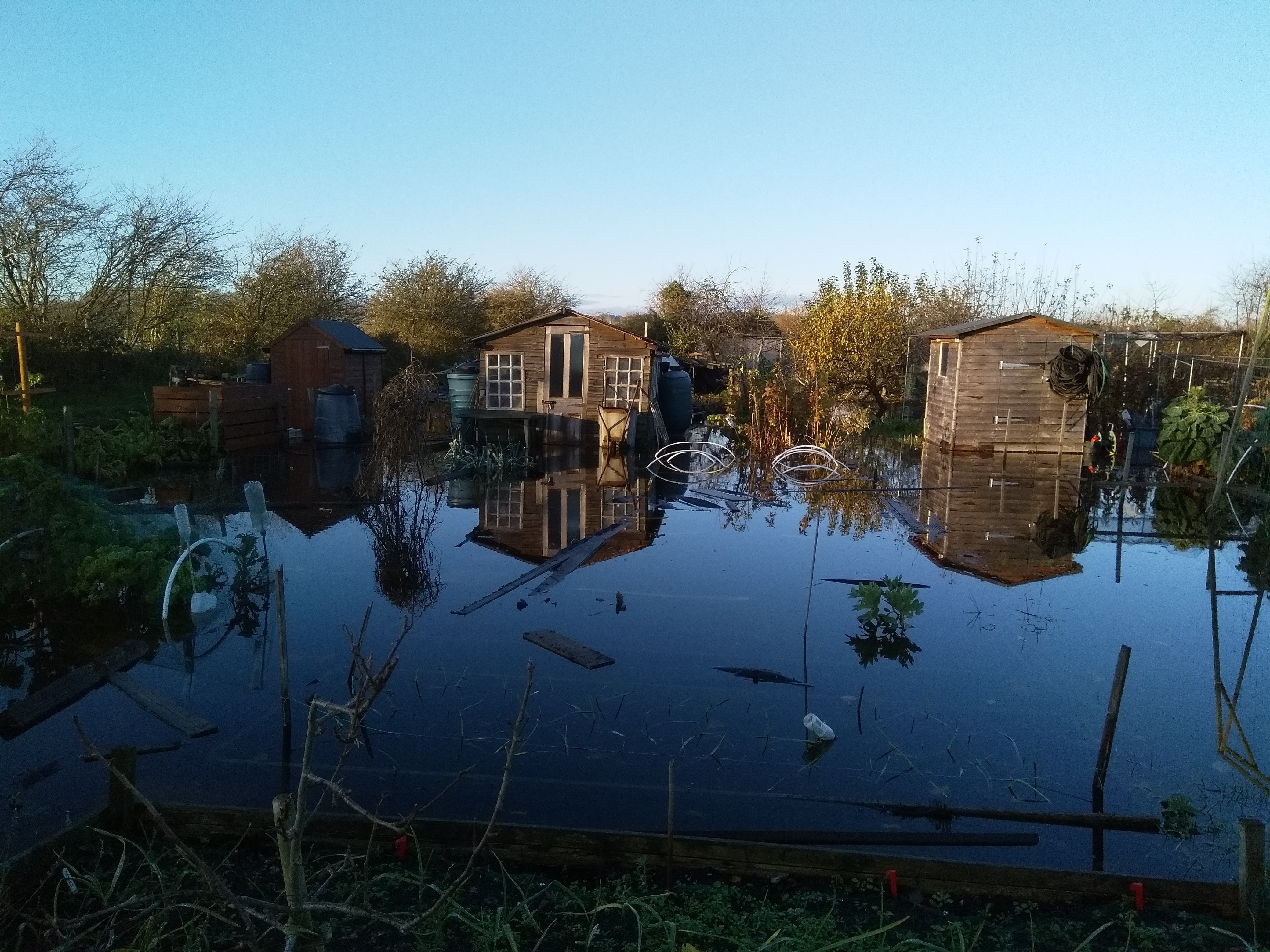Picture from allotment library