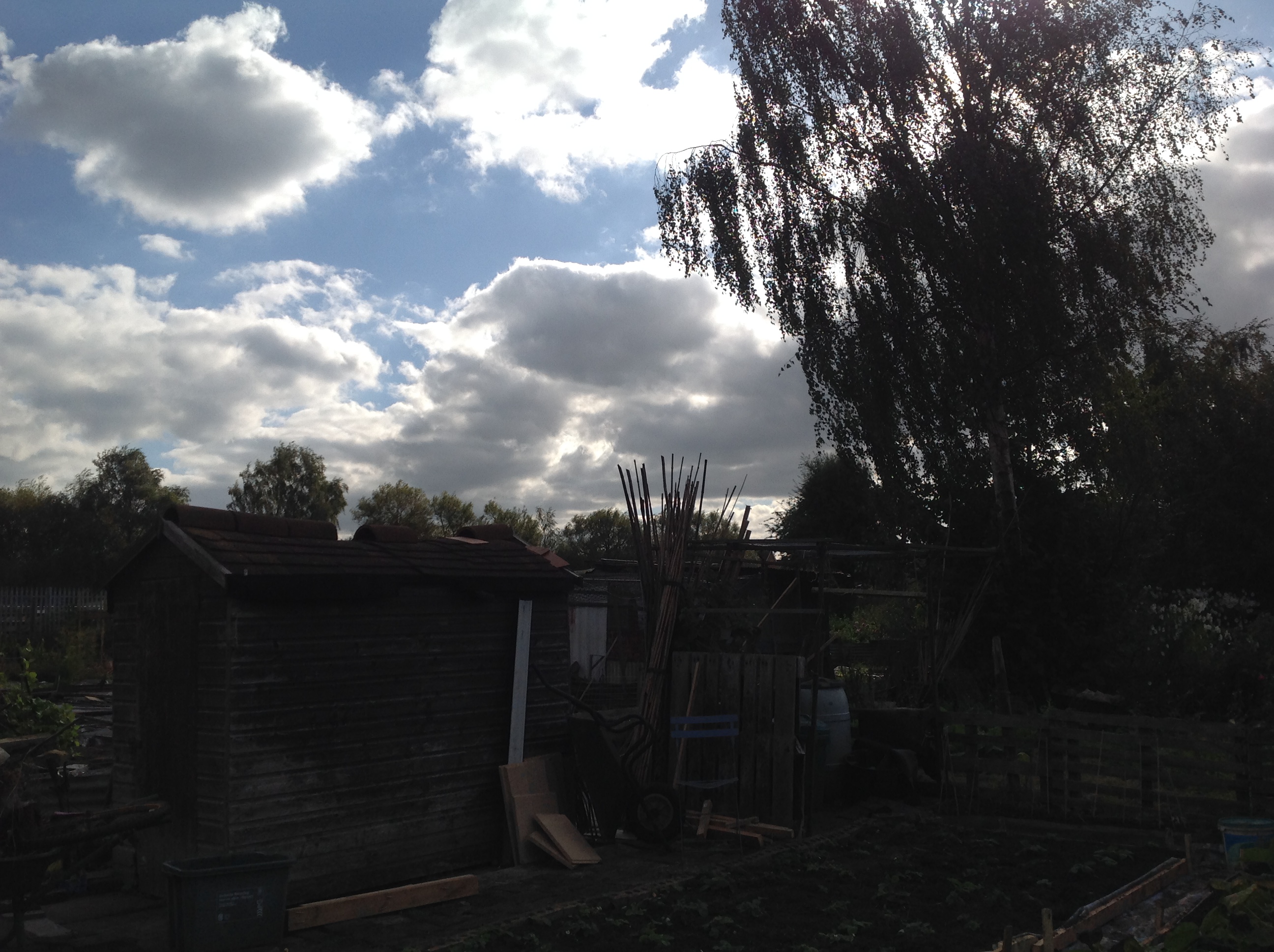 Picture from allotment library