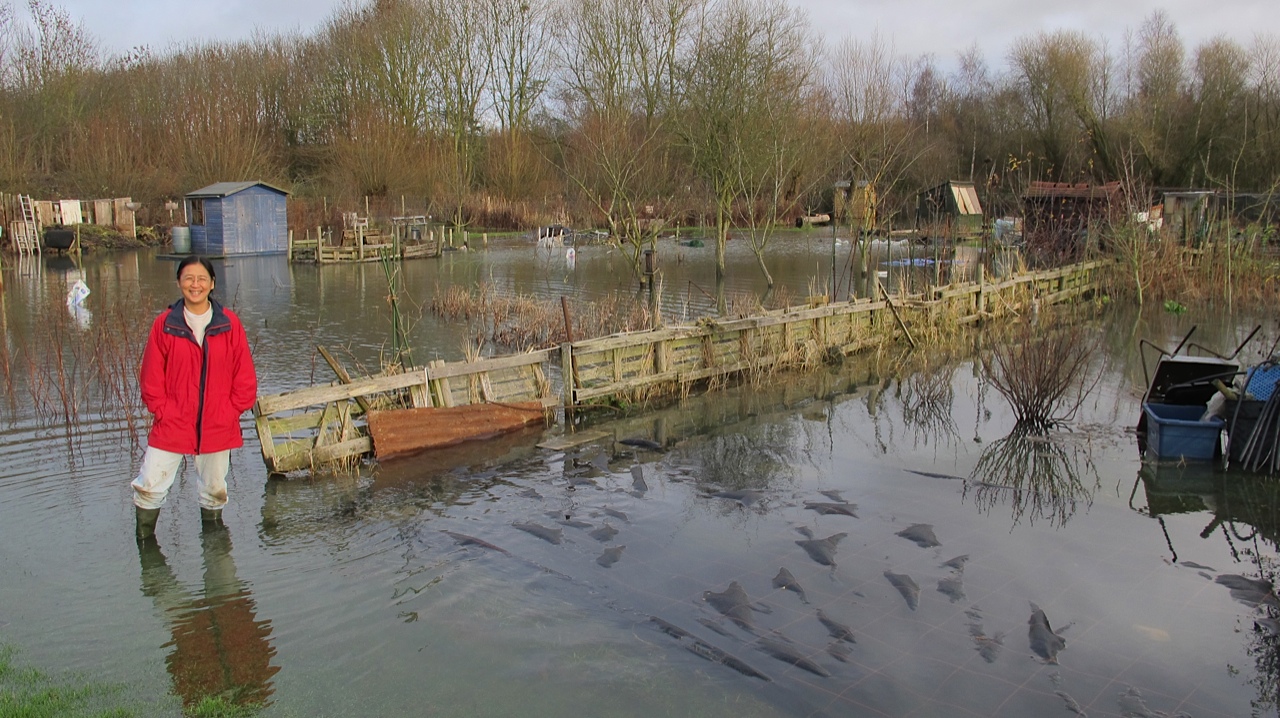 Picture from allotment library