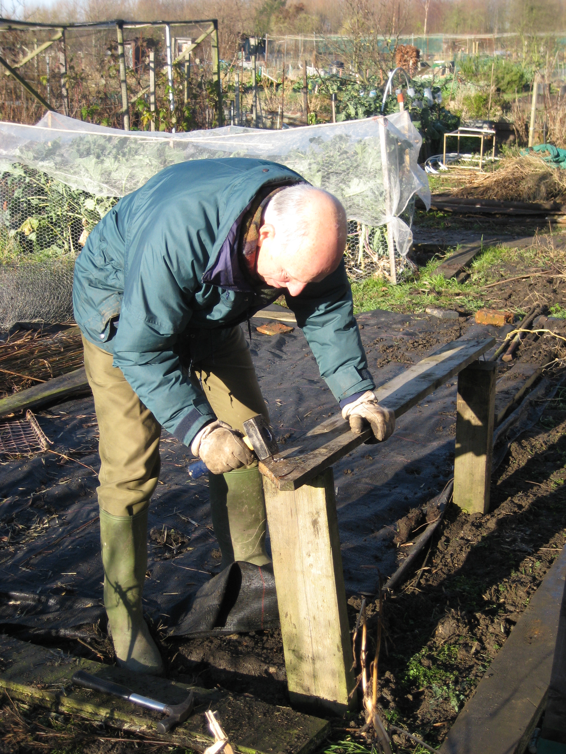 Picture from allotment library
