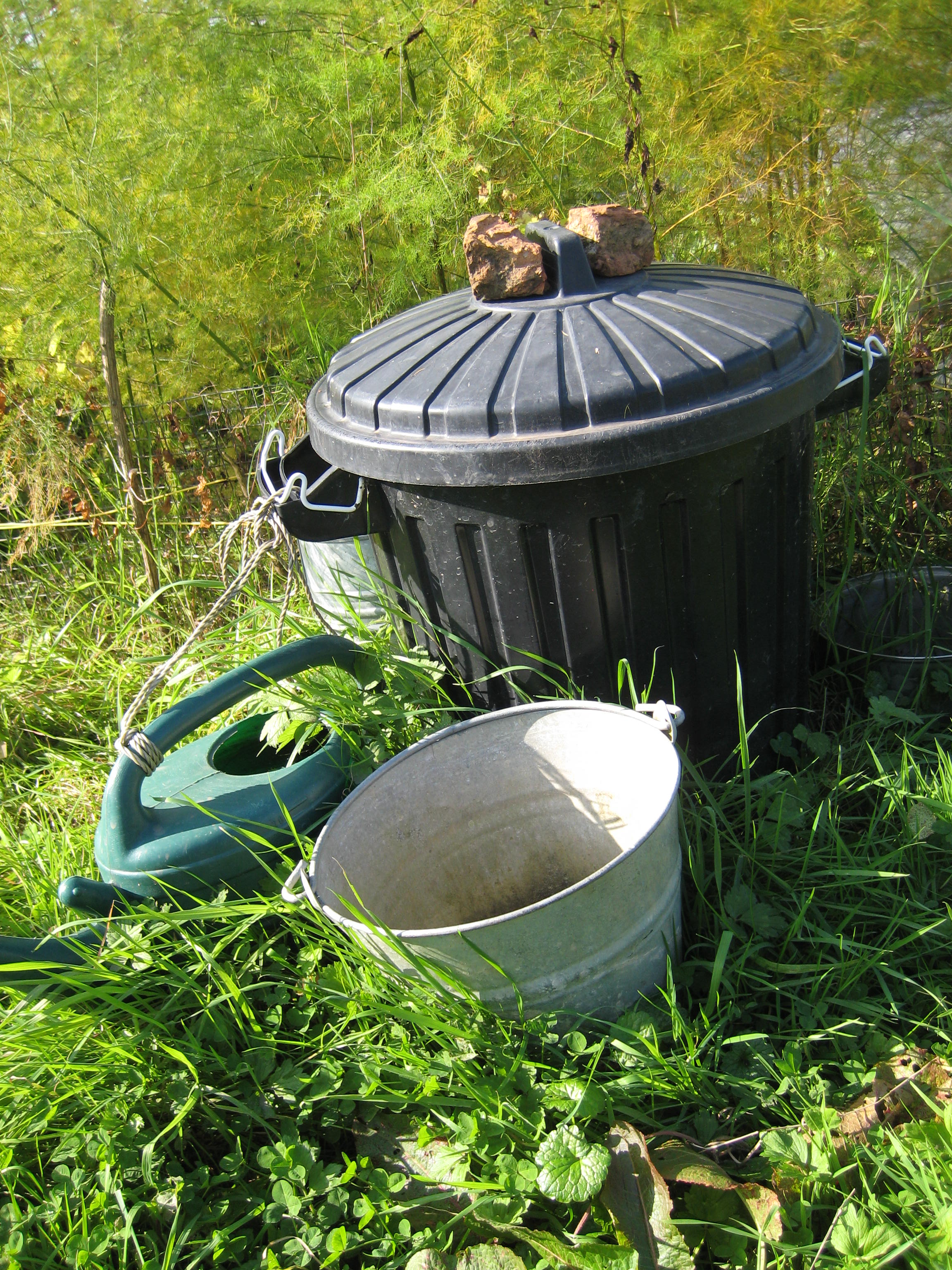 Picture from allotment library