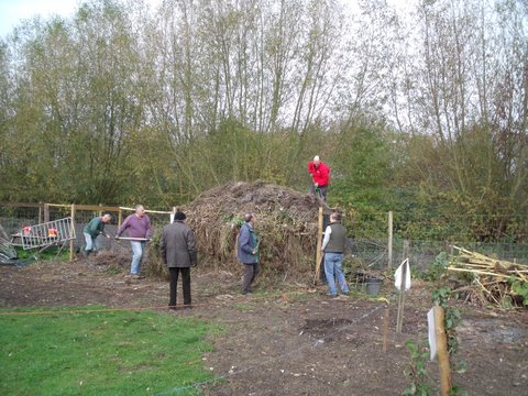 Picture from allotment library