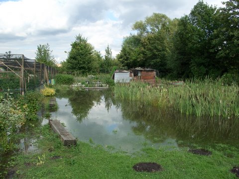 Picture from allotment library