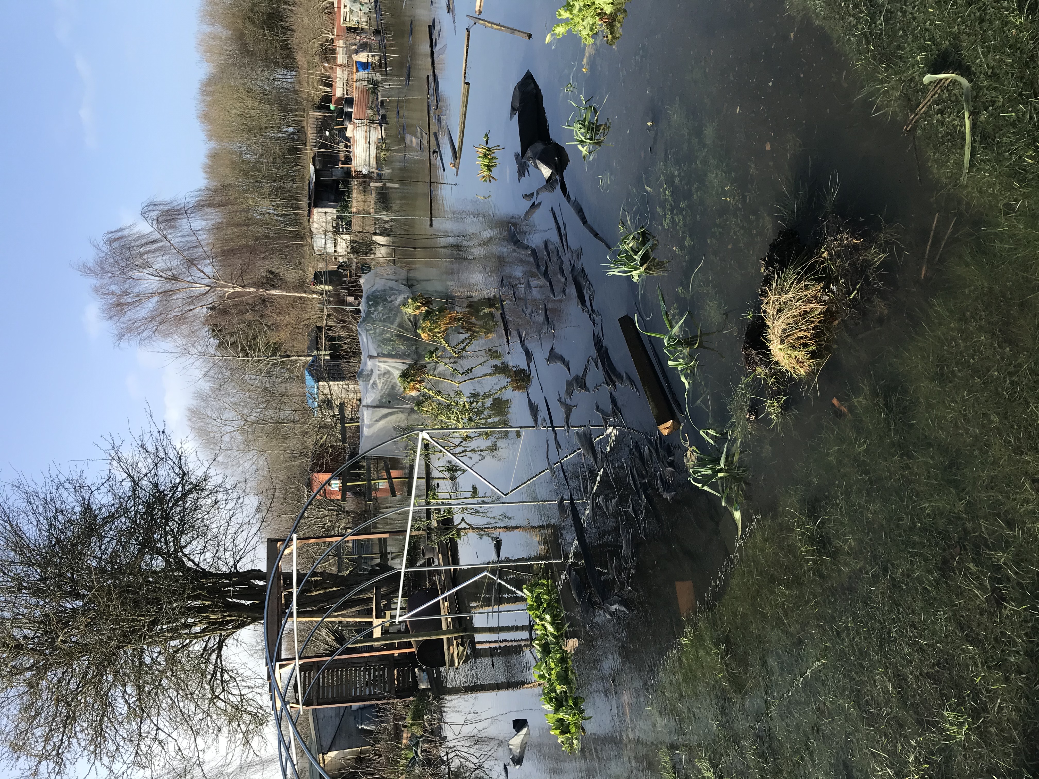 Picture from allotment library