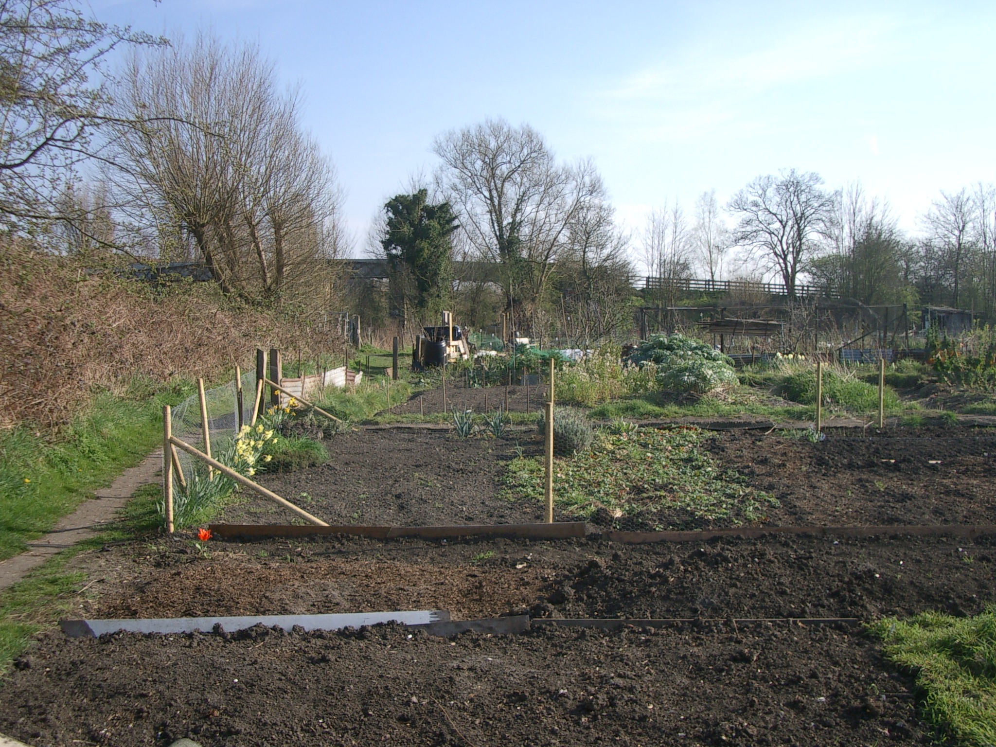 Picture from allotment library