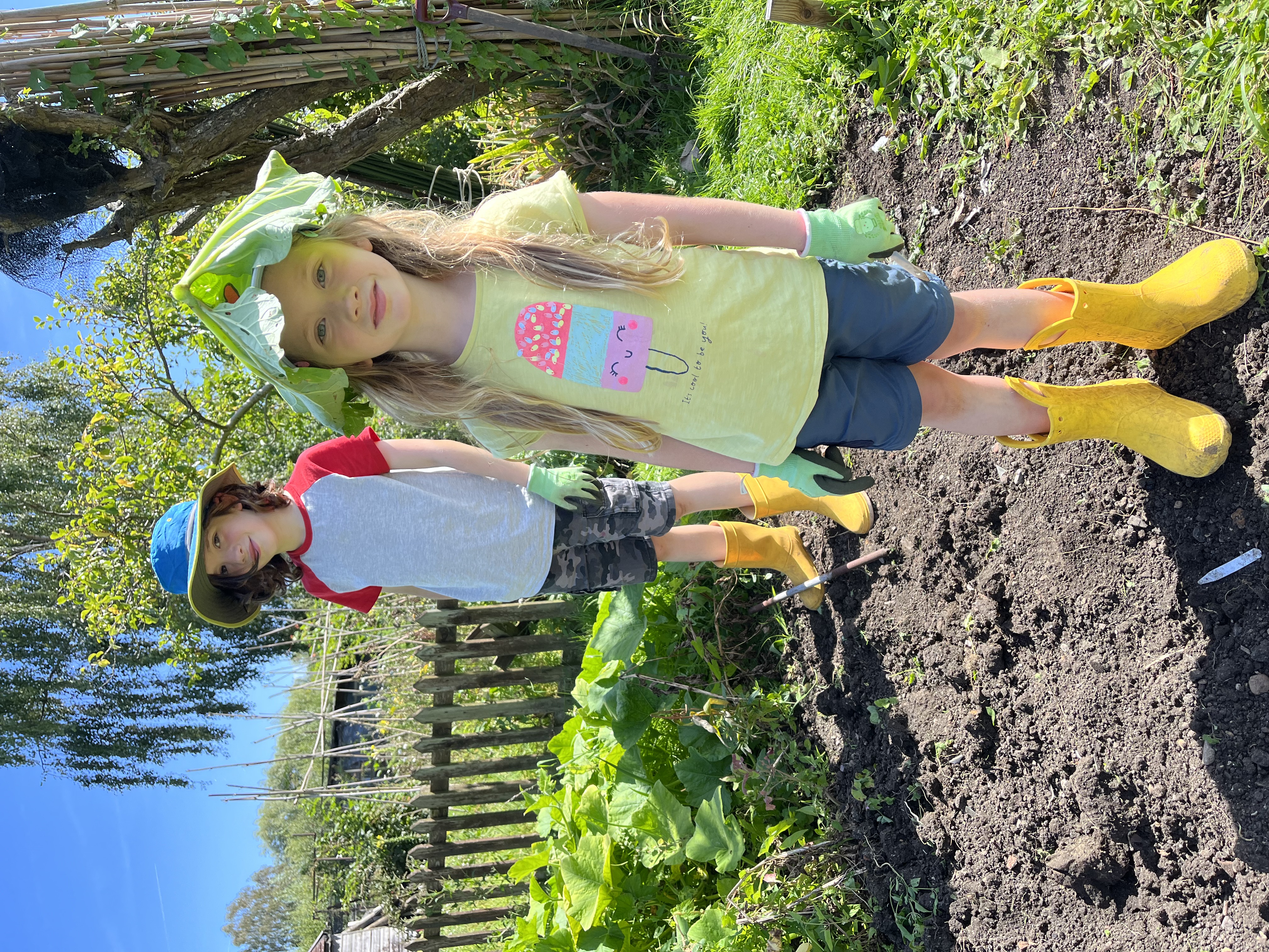 Picture from allotment library