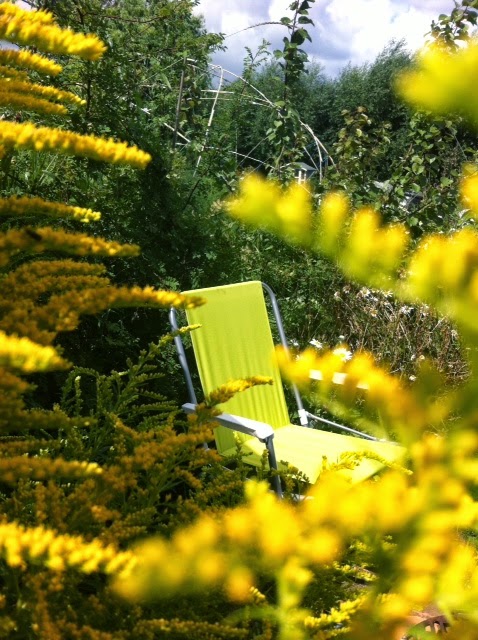 Picture from allotment library