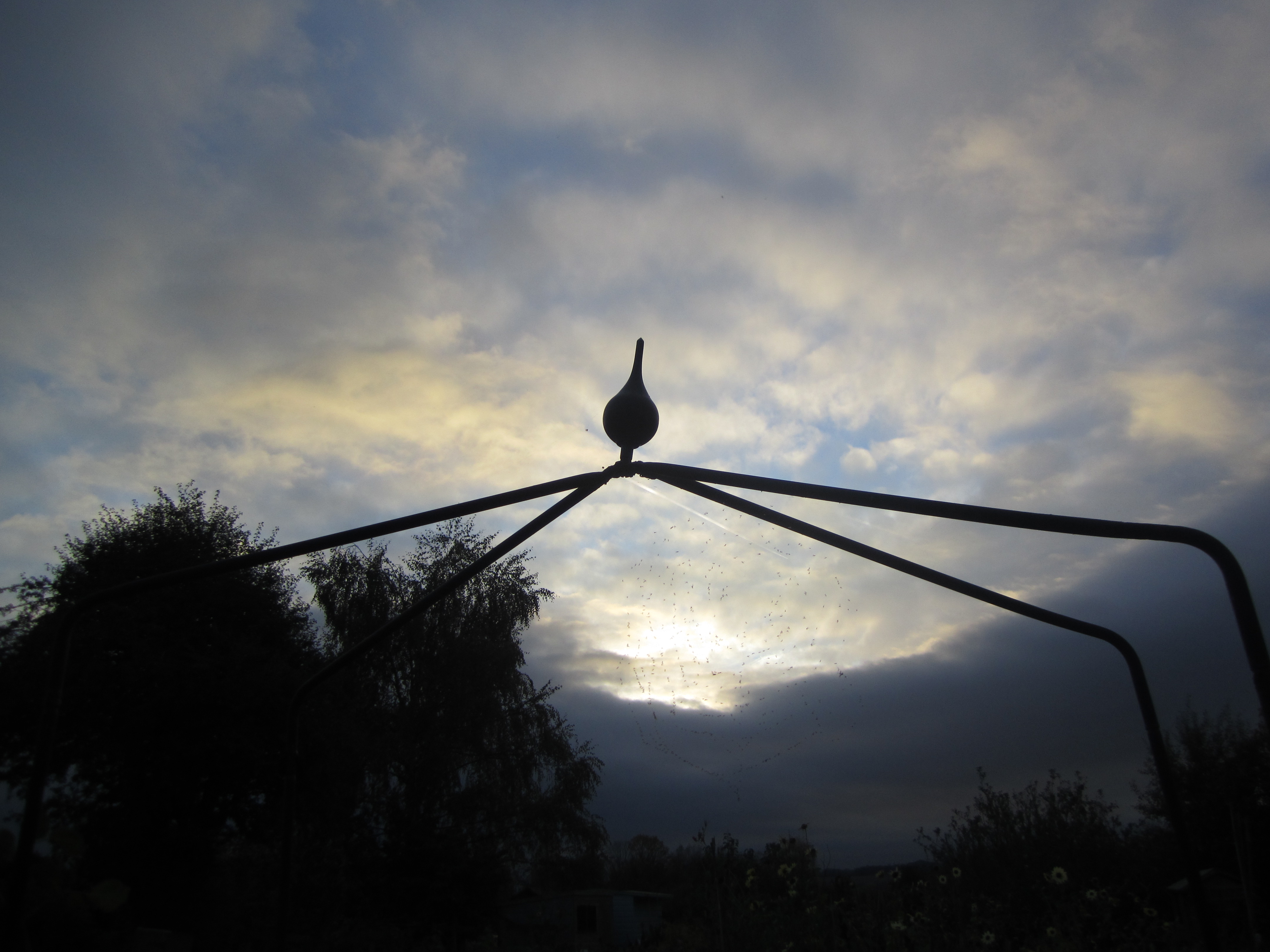 Picture from allotment library