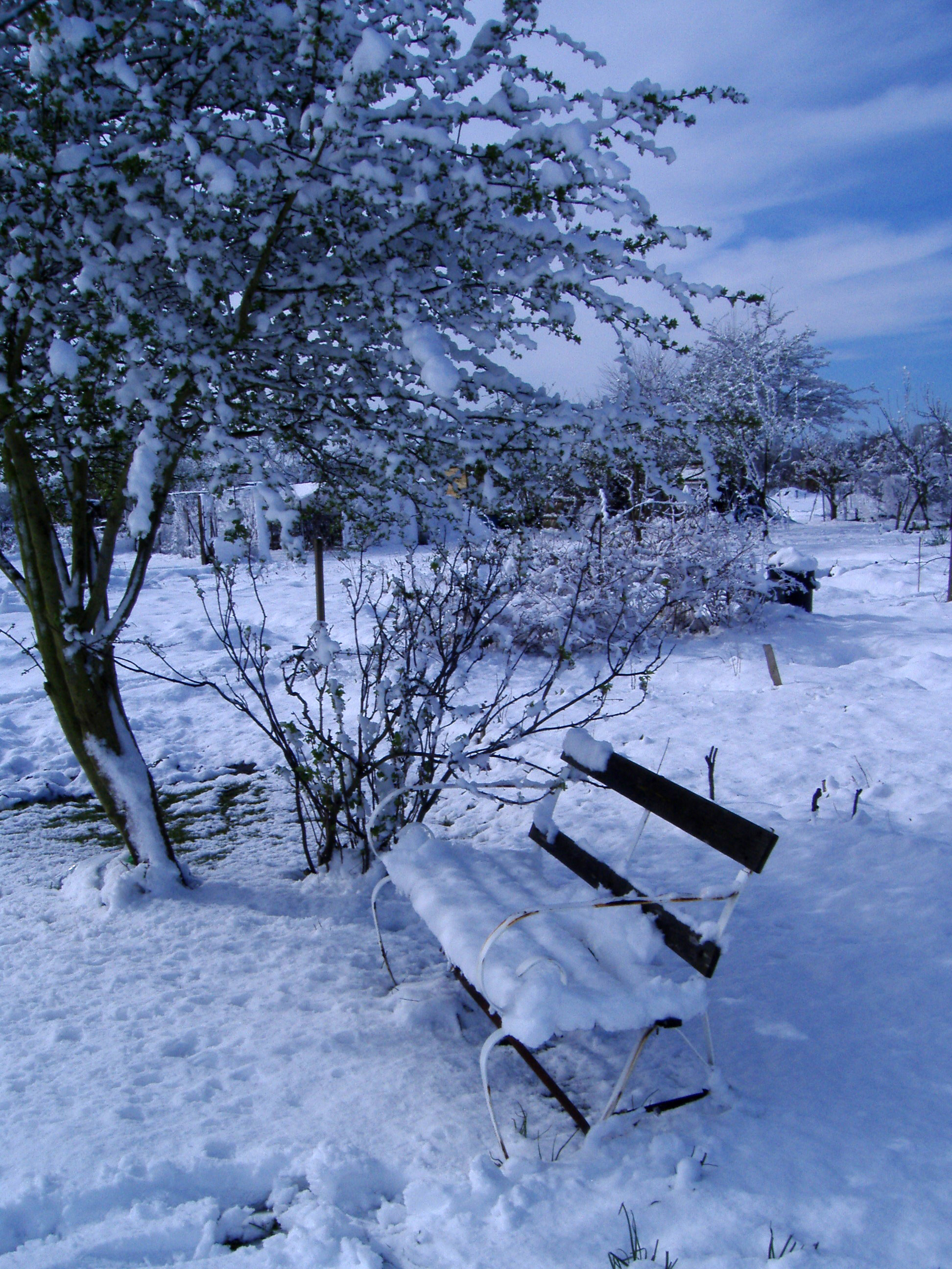 Picture from allotment library