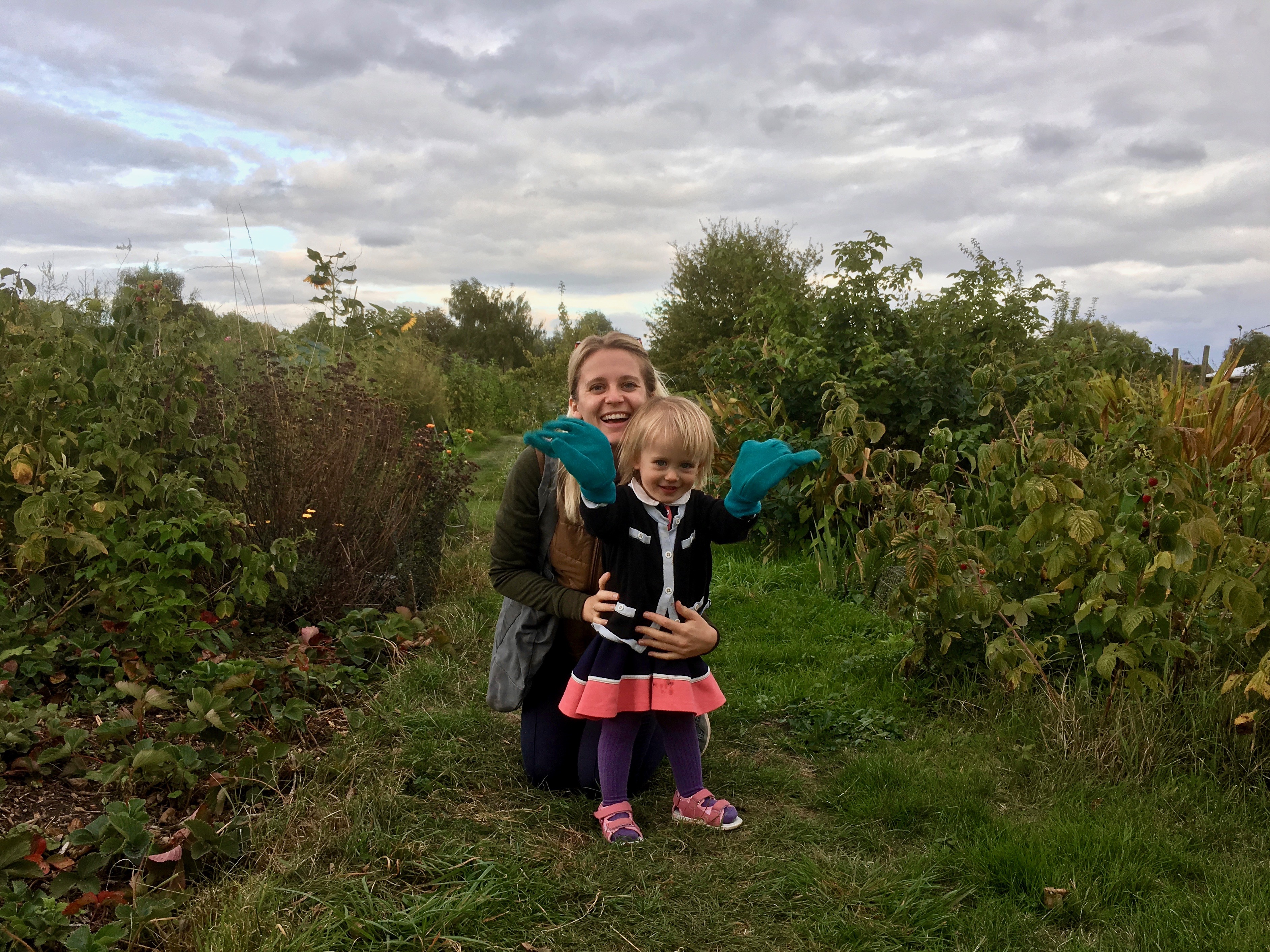 Picture from allotment library