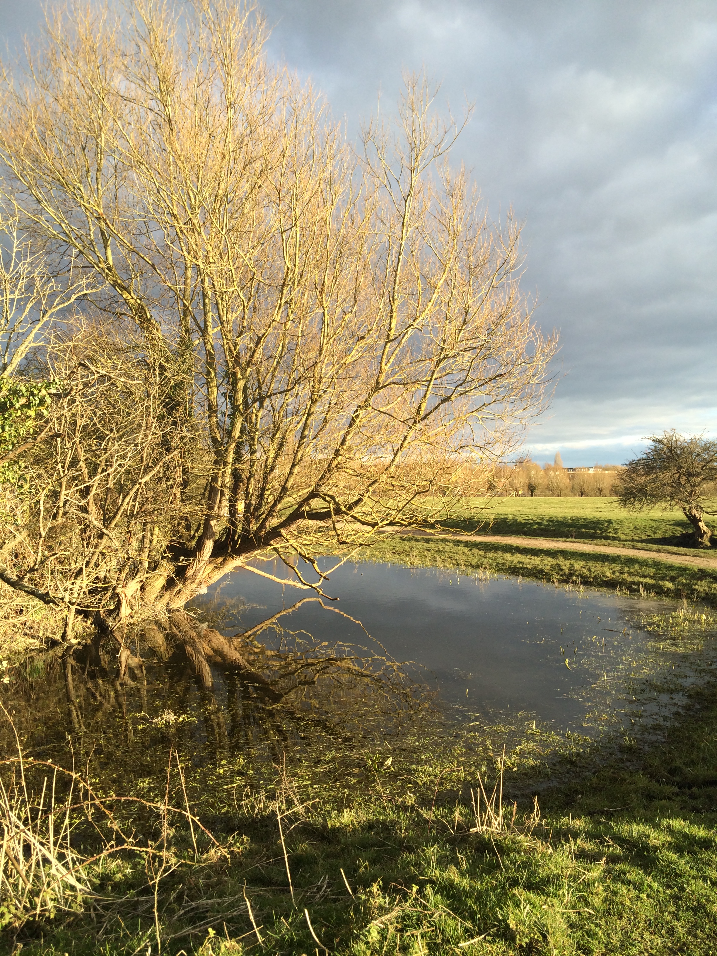 Picture from allotment library