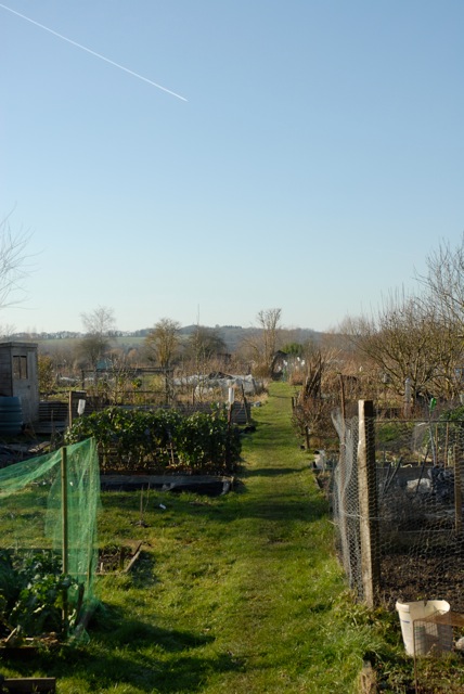 Picture from allotment library