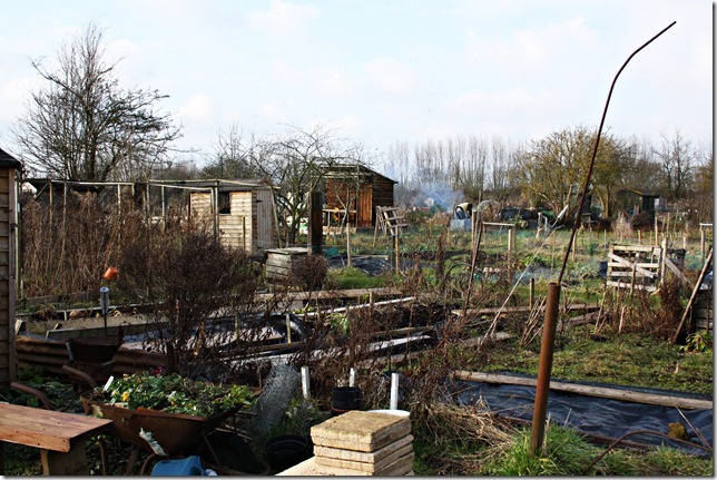 Picture from allotment library
