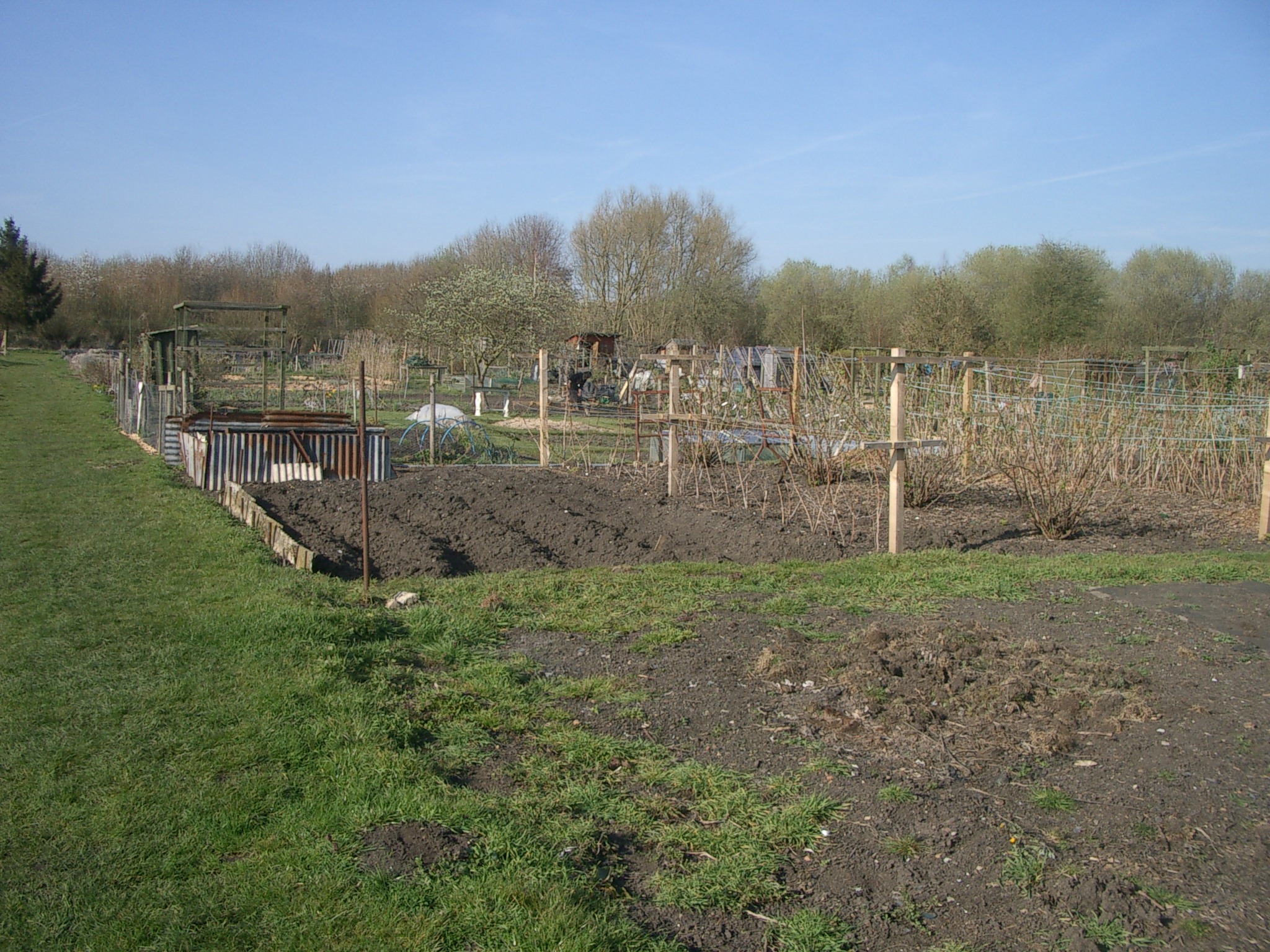 Picture from allotment library
